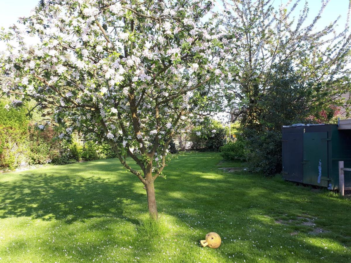 Ferienwohnung In Ruhiger Dorflage Naehe Bad Bevensen Natendorf Экстерьер фото